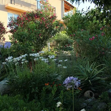 Apartments-estate Under The Paintbrush