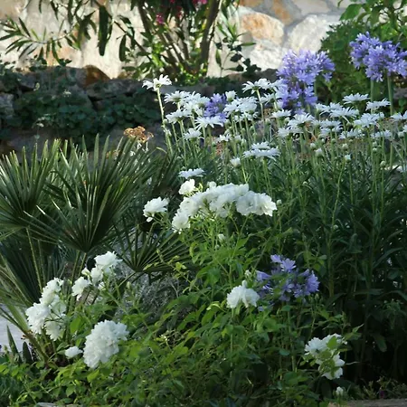 Apartments-estate Under The Paintbrush * فيس